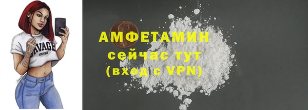 гидра Аркадак