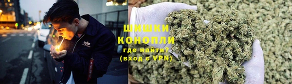 крисы Арсеньев