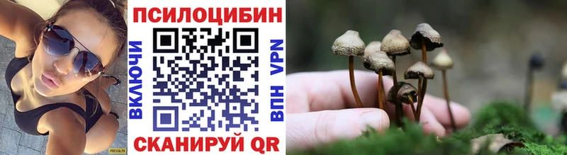 Псилоцибиновые грибы Cubensis  МЕГА сайт  Рудня 