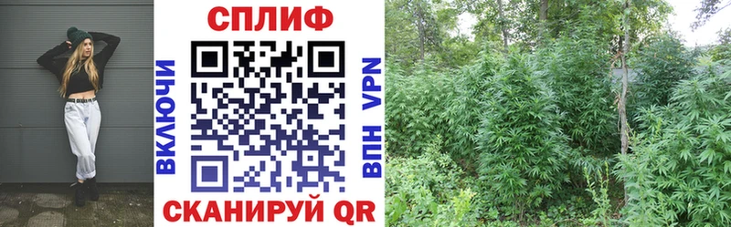 сколько стоит Рудня Бошки Шишки марихуана