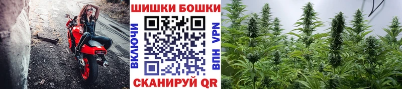 Шишки марихуана SATIVA & INDICA Рудня
